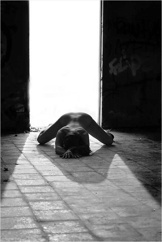 Lightray 1160596320 i 2778 full